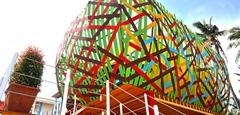 Bird’s Nest