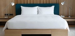 BLUEMOON SUITE