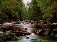 Doi Luang National Park. Chiang Rai