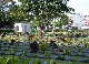 Kanchanaburi War Cemetery