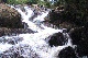 Khlong Kaeo Waterfall National Park. Trad